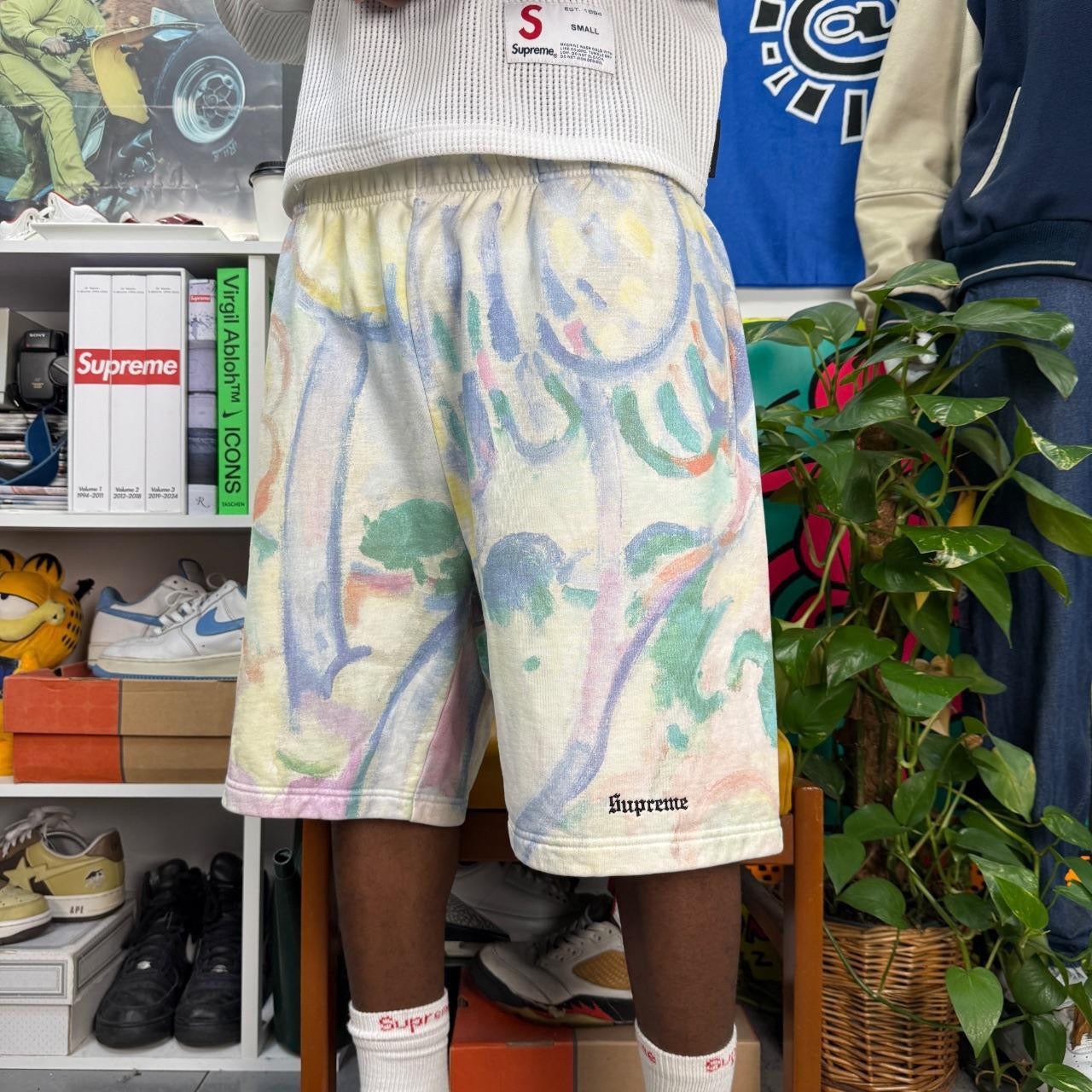 SUPREME SS18 LANDSCAPE SHORTS