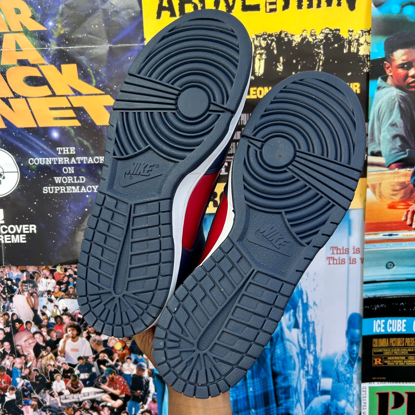 SUPREME NIKE SB DUNK HIGH 'BY ANY MEANS"