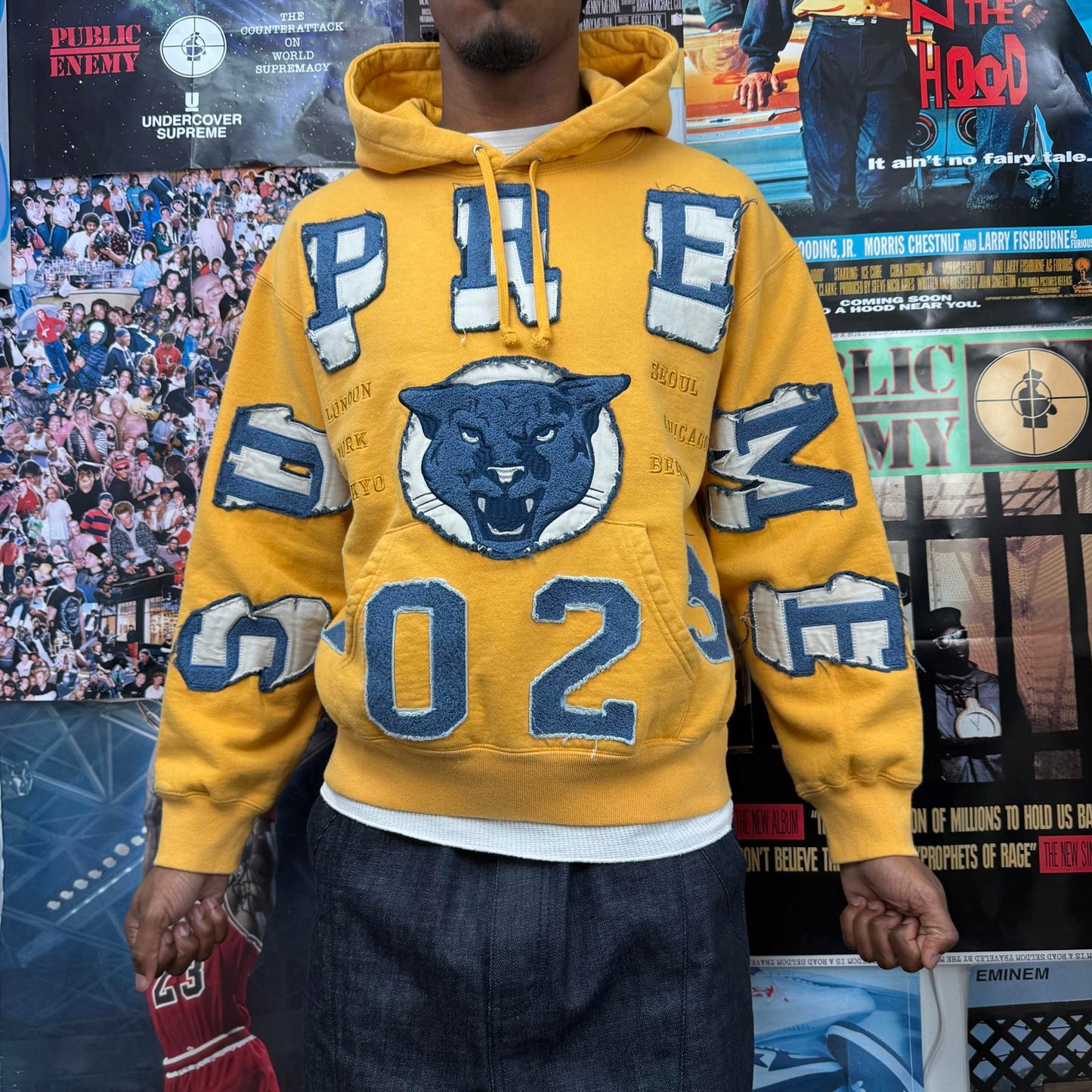 SUPREME FW23 WASHED PANTHER HOODIE