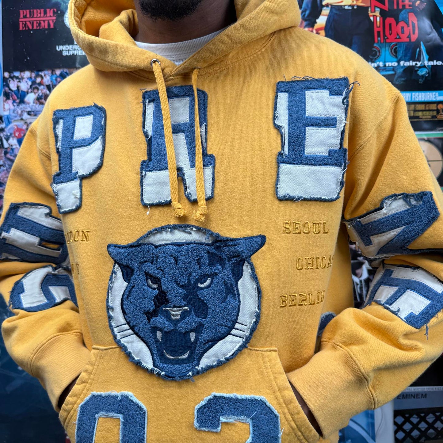 SUPREME FW23 WASHED PANTHER HOODIE